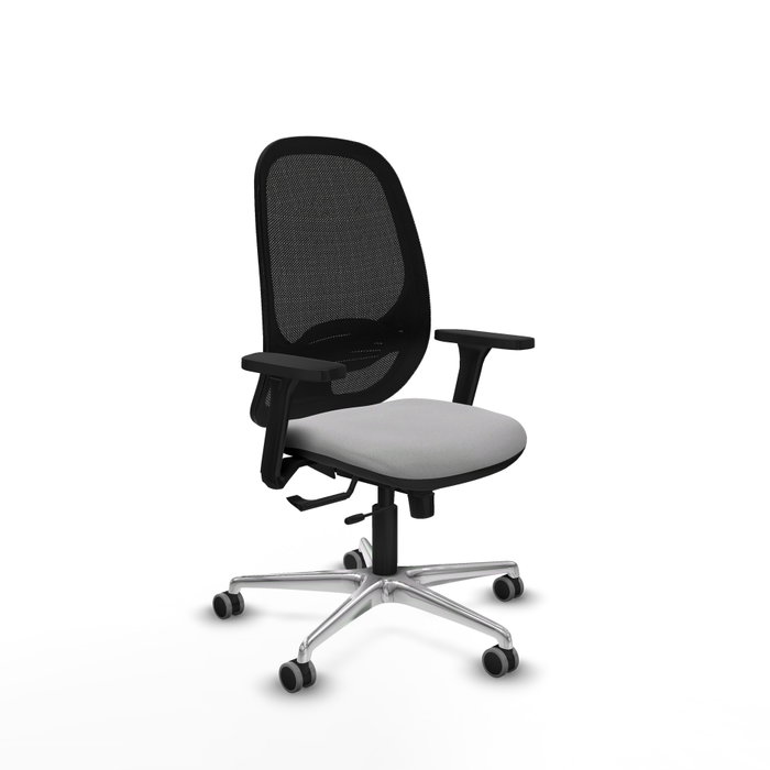 PIQUERAS Y CRESPO Silla de oficina Cilanco con mecanismo Sincro/Traslack, Gris claro y Negro PIQUERAS Y CRESPO Silla de oficina Cilanco con mecanismo Sincro/Traslack, Gris claro y Negro