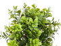 Ibergarden Maceta Piedra Plástico 48 cm, Color Verde y Negro, Dimensiones 30x30x50 cm (Set de 6)
