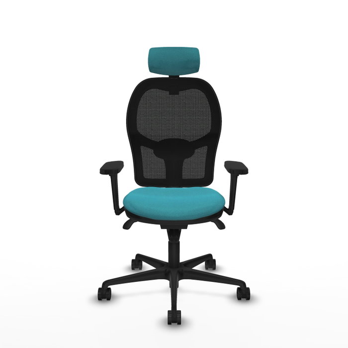 PIQUERAS Y CRESPO Silla de oficina Jorquera con mecanismo Sincro, Tela Turquesa y Malla Negra PIQUERAS Y CRESPO Silla de oficina Jorquera con mecanismo Sincro, Tela Turquesa y Malla Negra