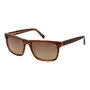 Gafas de Sol Hombre Timberland TB00020 5548H