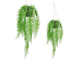 Ibergarden Planta Helecho Colgar Pequeño Verde y Negro 30x55x10 cm (Set de 18)