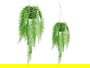 Ibergarden Planta Helecho Colgar Pequeño Verde y Negro 30x55x10 cm (Set de 18)