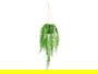 Ibergarden Planta Helecho Colgar Pequeño Verde y Negro 30x55x10 cm (Set de 18)