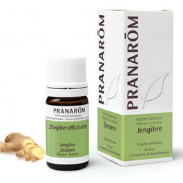 PRANAROM Aceite esencial AEQT Jengibre