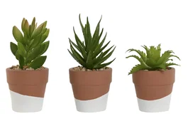 DKD Home Decor Maceta de Cemento y PE Surtida 5,5x5,5x13 cm