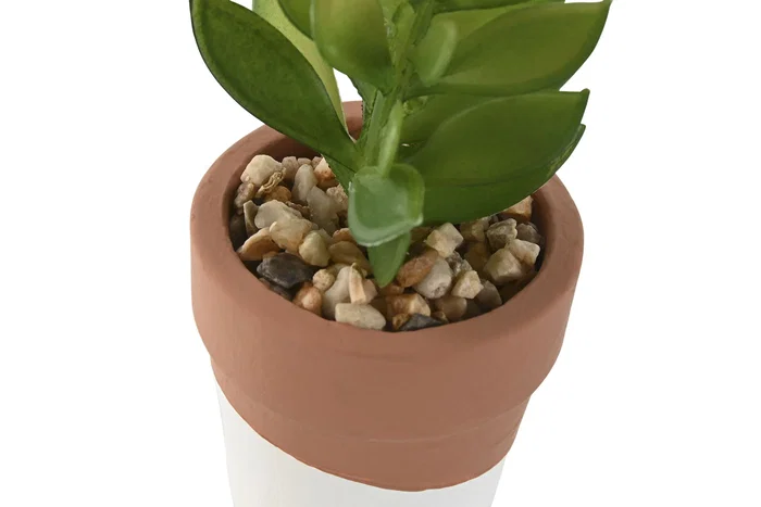 DKD Home Decor Maceta de Cemento y PE Surtida 5,5x5,5x13 cm