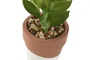 DKD Home Decor Maceta de Cemento y PE Surtida 5,5x5,5x13 cm