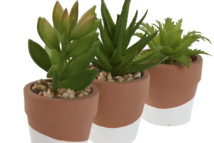 DKD Home Decor Maceta de Cemento y PE Surtida 5,5x5,5x13 cm