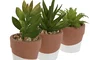 DKD Home Decor Maceta de Cemento y PE Surtida 5,5x5,5x13 cm