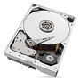 Seagate IronWolf Pro 10 TB HDD NAS - SATA 6 Gb/s 7200 RPM 256 MB Caché 3.5" - Disco Duro Interno (ST10000NE0004)
