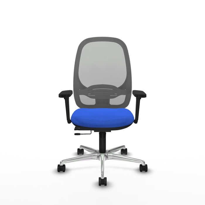 PIQUERAS Y CRESPO Silla de oficina Cilanco con mecanismo Sincro/Traslack, Azul y Gris PIQUERAS Y CRESPO Silla de oficina Cilanco con mecanismo Sincro/Traslack, Azul y Gris