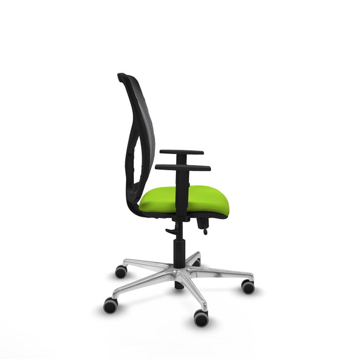 PIQUERAS Y CRESPO Silla de oficina Motilla con mecanismo Sincro/Traslack Pistacho y Negro PIQUERAS Y CRESPO Silla de oficina Motilla con mecanismo Sincro/Traslack Pistacho y Negro
