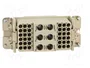 HARTING Han K6/36 insert female plantilla de contacto