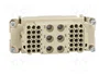 HARTING Han K6/36 insert female plantilla de contacto