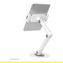 Neomounts DS15-550WH1 Soporte Universal para Tablet de 4.7-12.9 Pulgadas, Color Blanco, Acero, Ajustable - Hasta 1kg