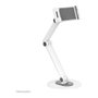 Newstar Neomounts DS15-550WH1 Soporte Universal para Tabletas Blanco