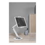 Neomounts DS15-550WH1 Soporte Universal para Tablet de 4.7-12.9 Pulgadas, Color Blanco, Acero, Ajustable - Hasta 1kg