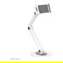 Neomounts DS15-550WH1 Soporte Universal para Tablet de 4.7-12.9 Pulgadas, Color Blanco, Acero, Ajustable - Hasta 1kg
