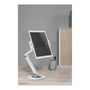 Neomounts DS15-550WH1 Soporte Universal para Tablet de 4.7-12.9 Pulgadas, Color Blanco, Acero, Ajustable - Hasta 1kg