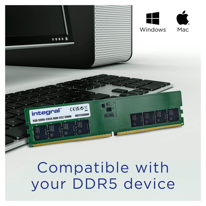 Integral 8GB Integral DIMM 5600MHz verde IN5T8GNJWDX