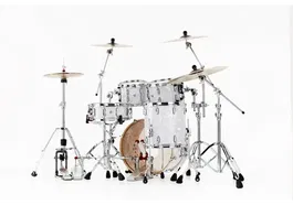 Pearl Batería Profesional 2014Bx/1007T/1208T/1414F - Cascos de Arce Maple White Marine Pearl