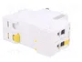 SCHNEIDER ELECTRIC Interruptor magnetotérmico iC60N 16A 2 Polos Curva C