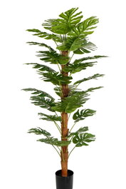 DKD Home Decor Planta Monstera Verde PE/PP 90x90x180 cm