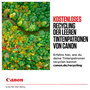 Canon CLI-581XL Multipack de Tinta Original y Papel Fotográfico (Negro, Cian, Magenta, Amarillo)