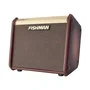 Fishman Loudbox Mini