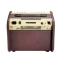 Fishman Loudbox Mini
