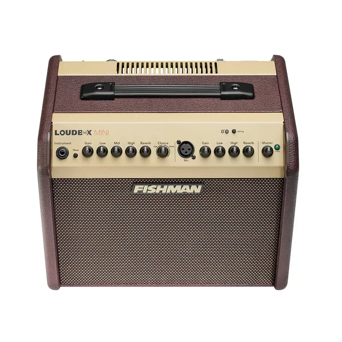 Fishman Loudbox Mini
