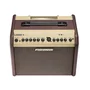 Fishman Loudbox Mini