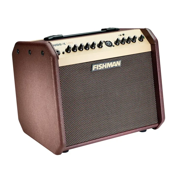 Fishman Loudbox Mini