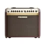 Fishman Loudbox Mini