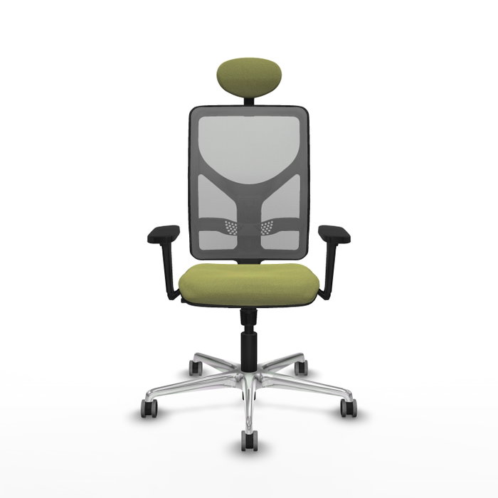 PIQUERAS Y CRESPO Silla de oficina Motilla con mecanismo Sincro, Verde oliva y Gris PIQUERAS Y CRESPO Silla de oficina Motilla con mecanismo Sincro, Verde oliva y Gris