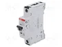 ABB S300P S301P-C10 Interruptor magnetotérmico 10A 1 polo