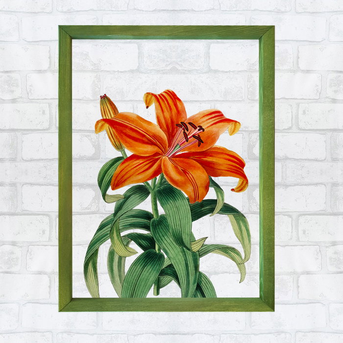 Wallity CAM76676 Cuadro Decorativo Enmarcado 32 x 42 cm con Marco de Madera y Cristal Wallity CAM76676 Cuadro Decorativo Enmarcado 32 x 42 cm con Marco de Madera y Cristal