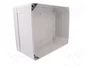 ELEKTRO-PLAST NASIELSK Carcasa Industrial Universal Gris IP65