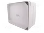 ELEKTRO-PLAST NASIELSK Carcasa Industrial Universal Gris IP65