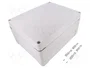 ELEKTRO-PLAST NASIELSK Carcasa Industrial Universal Gris IP65