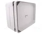 ELEKTRO-PLAST NASIELSK Carcasa Industrial Universal Gris IP65