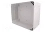 ELEKTRO-PLAST NASIELSK Carcasa Industrial Universal Gris IP65