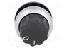 EATON ELECTRIC Interruptor Rotativo RMQ-Titan Negro 22mm