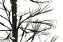 DKD Home Decor Árbol LED Metal 40x40x120 Luz Cálida Negro