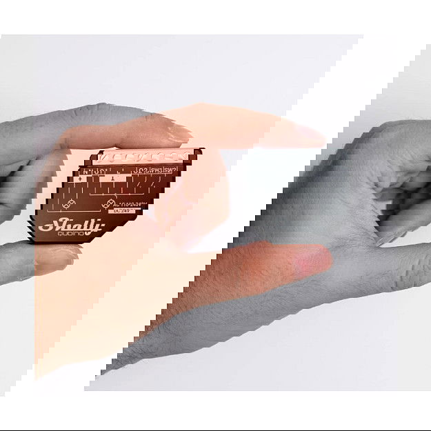 Shelly Wave 2PM Relais max. 16A 2 Canales Unterputz con Función de Medición