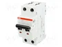 ABB S200M-C10 Interruptor magnetotérmico 10A 2 polos