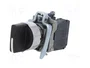 SCHNEIDER ELECTRIC Interruptor Rotativo Harmony XB4 22mm NA x2 Negro