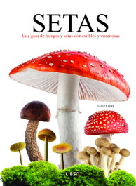 Setas, Liz O'Keefe - LIBSA