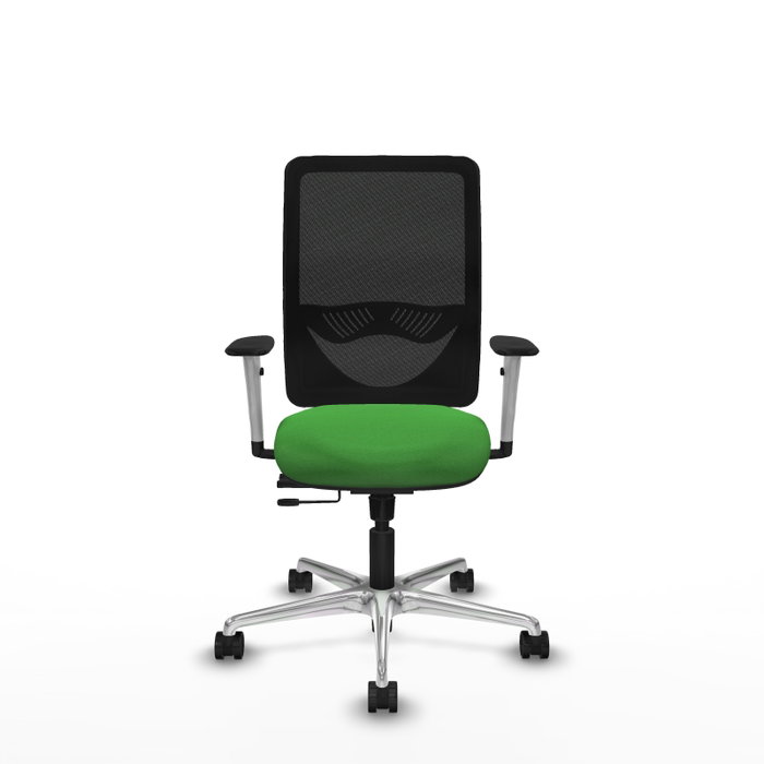 PIQUERAS Y CRESPO Silla de oficina Zulema con mecanismo Sincro/Traslack, Verde y Negro PIQUERAS Y CRESPO Silla de oficina Zulema con mecanismo Sincro/Traslack, Verde y Negro