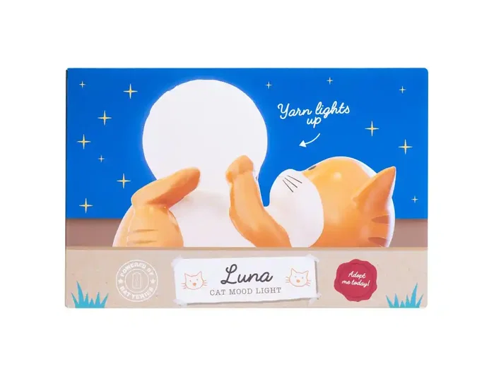 Wondee Lampara luna the cat Wondee Lampara luna the cat
